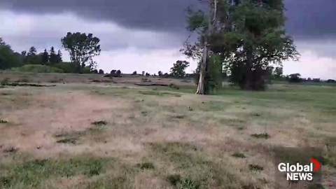 Tornado wreckage footage captured in Talbotville, Ont. by storm chaser
