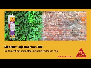 Comment traiter les remontées d'humidité dans les murs ? Sikamur Injectocream