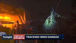10K views · 60 reactions | Three people were rescued after winds brought a tree down on top of a car in Seattle. Find the story at the link in our comments. | KIRO 7 News | Facebook