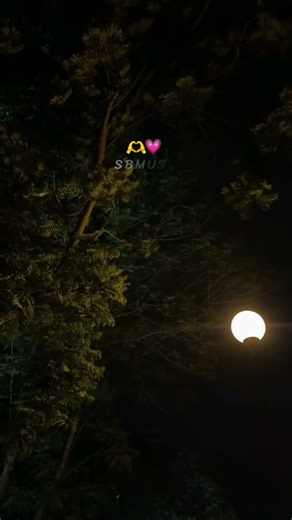 Rammani Analedhu… Raledhu Anukoledhu 🥹❤️‍🩹 | Sumagandhaala | Kerintha | #shortvideo #telugu #status