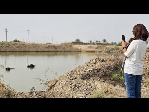 Where the Water Once Lived: Women of Iraq’s Marshlands/ Farah Salim