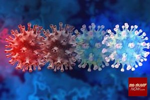 DOH Investigating COVID Cluster Linked to Honolulu Nightclub | Big Island Now