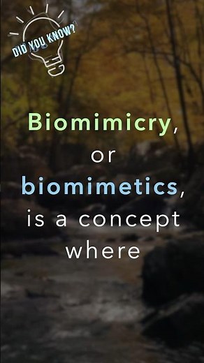 What is biomimicry (biomimetics)?