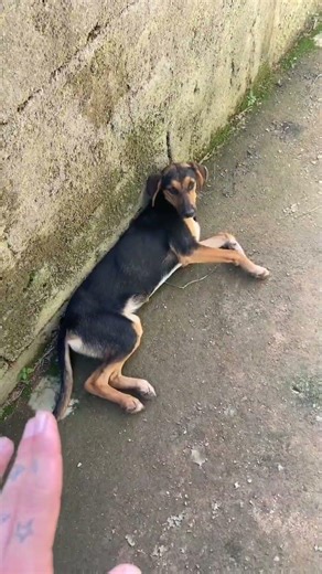 ACABOU DE ACONTECER UMA COISA MUITO SÉRIA! *vejam só oque é*
