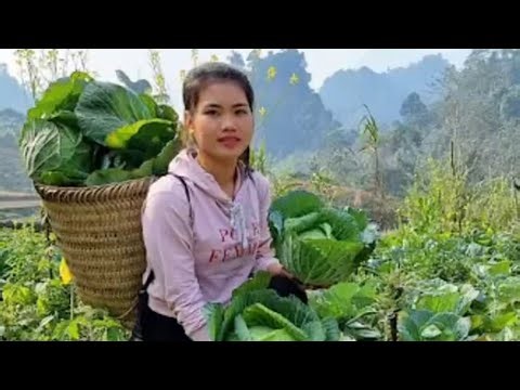 The Wild Harvest: Women Rediscovering Ancient Food Ways