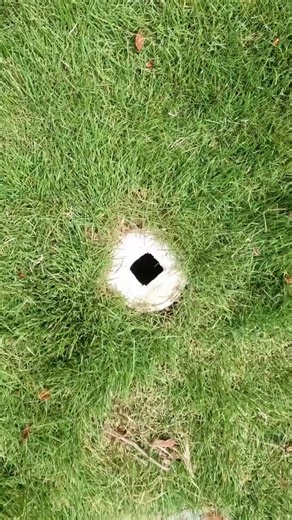 Replacing a broken sewer cleanout plug 🔨💦 #plumbing #plumber #diy_GGS_CUT | Bret Marshall