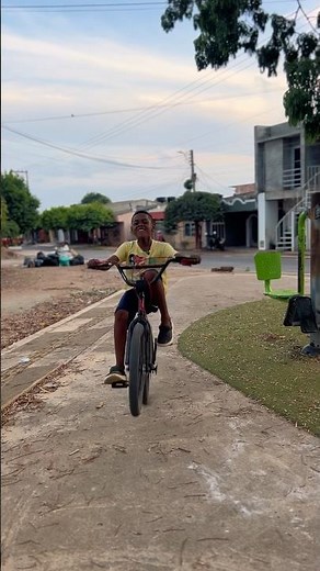 Mi hijo es desobediente