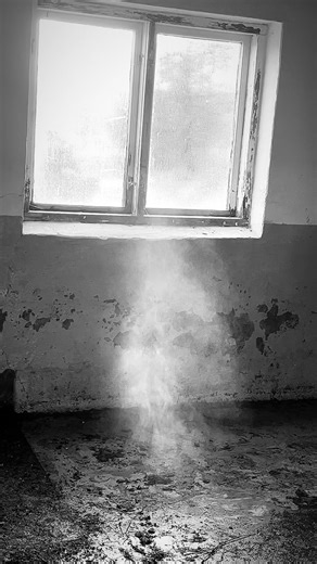 I am facinated by the compost process, here you can see steam from my manure celler it is just the perfect, free heating system under the cold and harsh winter here in Norway. And it create the best fertiliser for my veiggies 🥦 #farmlife #compost #manure #organic #norway | Johan Kridih