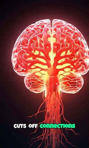 Your Brain Is Quietly Deleting You