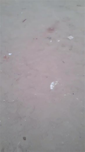 Mithun dada prem pratigya#tiktok#tiktokindia