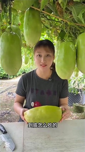 Amazing fruit farm 🍑🍅🥭🍓🍒🧿#shorts #viral #nature #fruit #fruitrees #farming #trending #viralstory