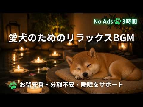 【3時間・広告なし🐾】愛犬が安心して眠るリラックスBGM | 癒しの水音
