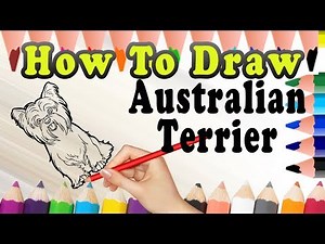 How To Draw A Dog Australian Terrier | Easy dog drawing Tutorial | Draw Easy For Kids