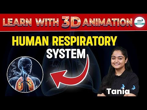 Explore the Human Respiratory System: 3D Animation Explained | NEET 2025 Zoology | Class 11th
