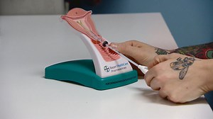 More B.C. women choose long-acting birth control when it’s free, study finds