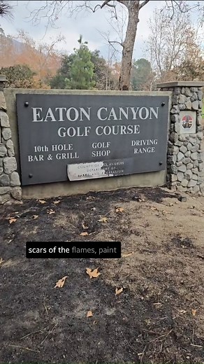 After seeing the devastation at Altadena Golf Course, I headed down New York Drive to check on Eaton Canyon. The scars of the LA fires were everywhere—scorched hillsides, burned buildings, and charred remains stretching across Sierra Madre Villa Ave. Walking both sides of the road, I found burned trees and blackened shrubs, yet somehow, the fairways across the street remained untouched. Even a lost golf ball had survived the flames. The fire reached the fence line, torched trees, and then—stoppe