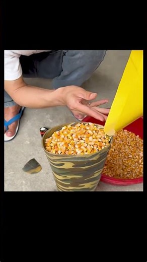 Tu pars en vacances ? Cette astuce sauve ton animal 😳