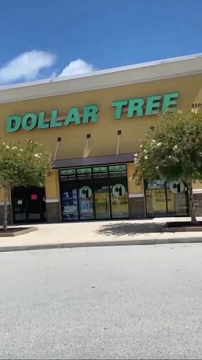 EASTER REVERSE CANVAS #dollartree #diydollartree #dollartreediy #raedunninspired #easterdiy #dollartreeeaster #easterdecor #cricut #cricutmade