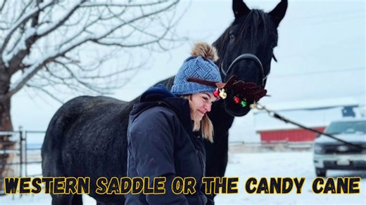 Not sure which he hated more… the western saddle or the candy cane…