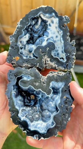 Check out this galactic-looking ancient coral geode. It took over 20 million years to form from a coral head that once lived in an ancient ocean. This is agatized coral, Florida’s state stone. While amber and honey tones are fairly common, black and blue specimens like this are extremely rare, found in only one small area on Earth. #rare #minerals #florida #rocks | Dig Dive Discover