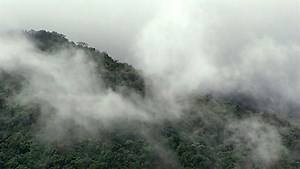 How Fog Forms | Britannica