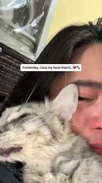 Memories That Never Fade