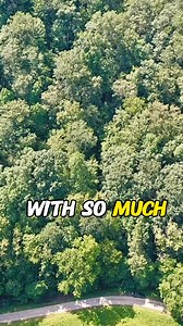 2.2K views · 26 reactions | Over 72 Acres of Unrestricted Land With So Much Potential. $89,900 | Things Abandoned | Facebook