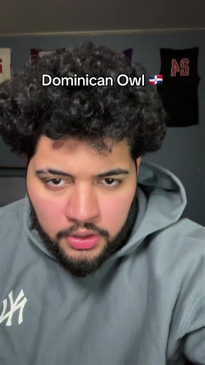 Owl impression papi 😂 #owl #dominican #willstunna #fyp #impressions | My Impression Of An Owl