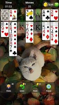 Solitaire Collection: Classic Gameplay