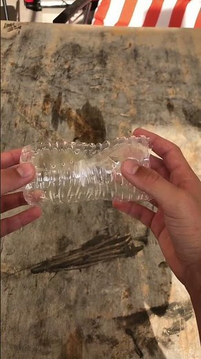 How to make a lizard trap #lizard #diy #shorts