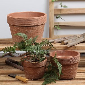 [Hot Item] Wholesale Custom Garden Porcelain Plant Pots Terracotta