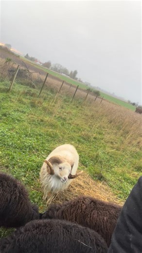 Konkhra / Demolizer - Forbrændingen 8 november 2025 | KONKHRA