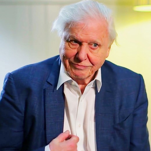 Broadcaster and natural historian David Attenborough talks about his career in television, the human impact on the environment he has witnessed during his years of making documentaries, what responsibility he feels to help the planet, and more. Which Attenborough documentary has inspired you the most? | BAFTA