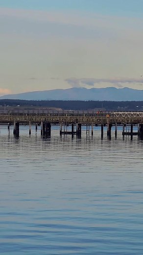 46 reactions | Beginnings, Time on Port Townsend Bay Port Townsend, Washington. Life in the City of Dreams | Good Dad Bad Man | Facebook