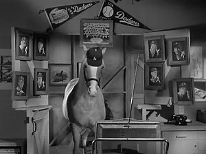 Mister Ed s04e01 Leo Durocher Meets Mister Ed clip