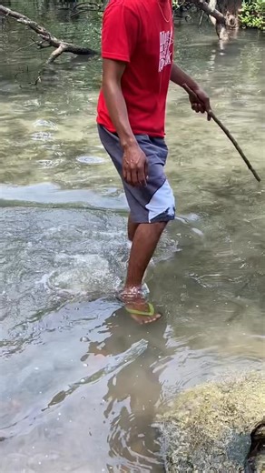 11K views · 45 reactions | Wow giant crab 呂 #annabebercerosandigan | Annabe Bercero Sandigan | Facebook