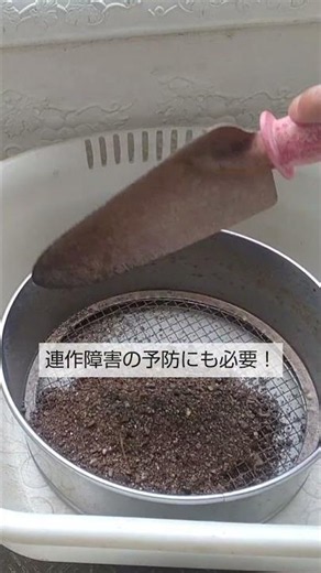 Regenerating planter soil: If you do this, planter soil can be used forever! It also prevents con...