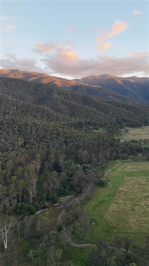 110K views · 188 reactions | Smoko Campground, VIC ⭐⭐⭐⭐ 4.1 Stars on...