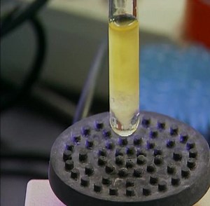 Forensic Files - Supernatural crime Part 44 | Forensic Zone