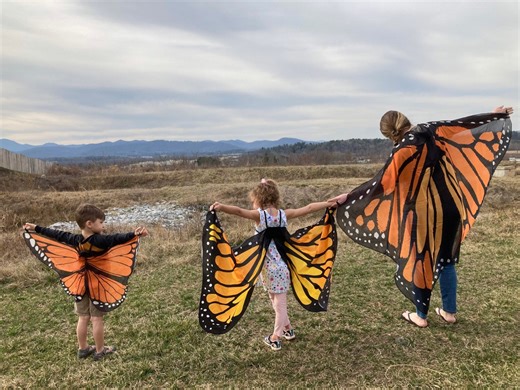 Monarch Butterfly Wings Costume: Whole Family of Sizes, Kid Gift Adult Gift, Orange, Other Colors Available - Etsy