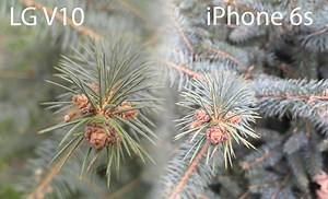 LG V10 vs Apple iPhone 6s - camera comparison