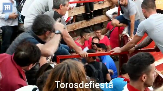 Bull jumps over barrier twice into stands of screaming onlookers