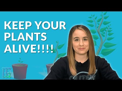 Soil Moisture Sensors Keep Your Plants Alive! | GIT TECH'D