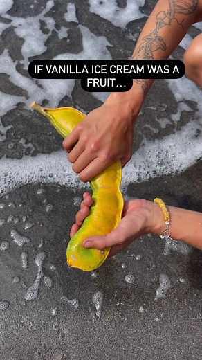 2.6K views · 25 reactions | MAGIC BEANS ✨齃. that’s what i call ice...