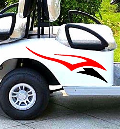 Racing Flame Golf Cart Decals: Custom 2-color Graphics - Etsy Canada