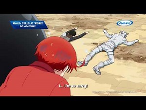 Cells at Work! - Funniest Moments - Here Comes the Steroid!