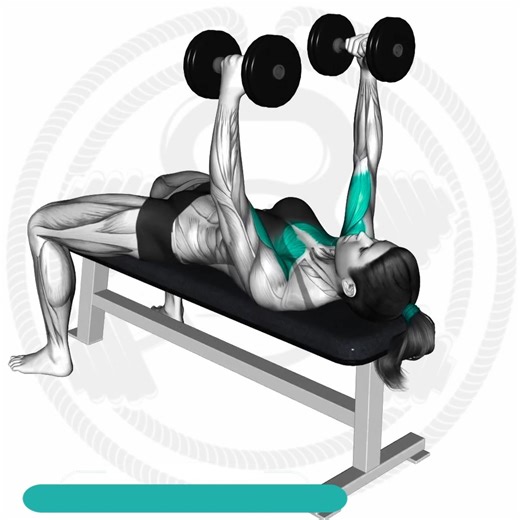 Chest workout #fitnessroutines #love #insta #challenge #fitnessjourney #fitnessmodel #workout #training #reels #fitness #gym #fit #fitnessmotivation | Fitness routines