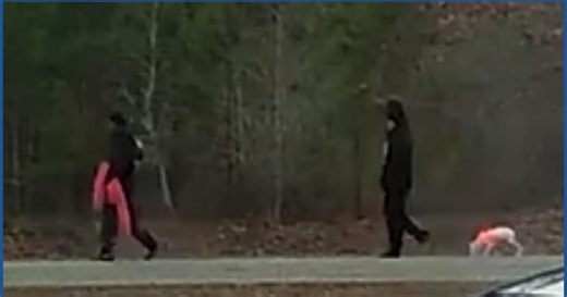 They were seen walking a small dog with a pink harness. Now they're charged with murder.