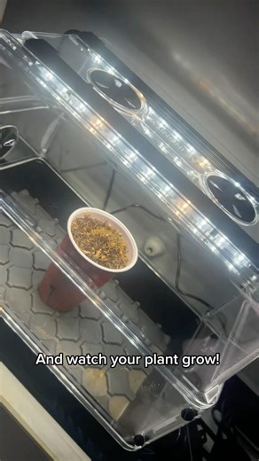 Ac Infinity Humidity Dome #plants #seeds #plantseeds #diy #howto #nature #garden #gardening