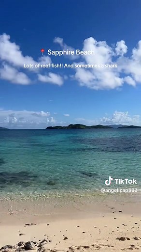 Top Snorkeling Beaches in St. Thomas